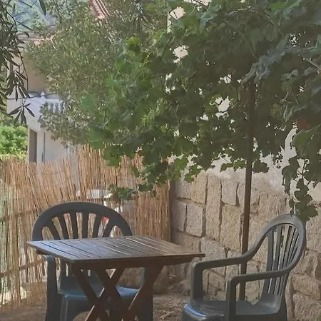 El Olivar *